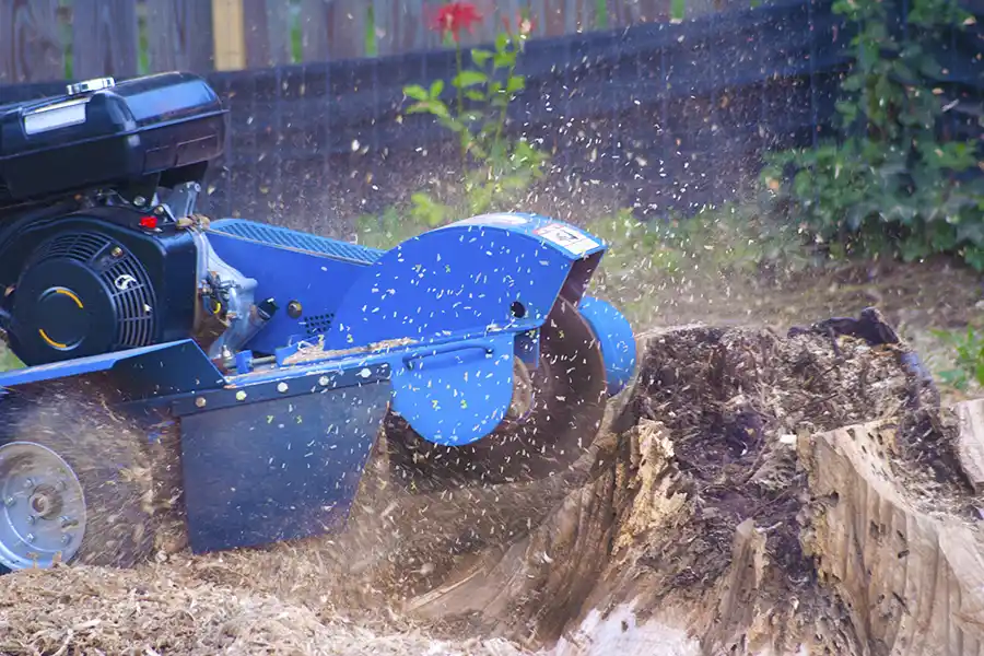 Tree Stump Removal